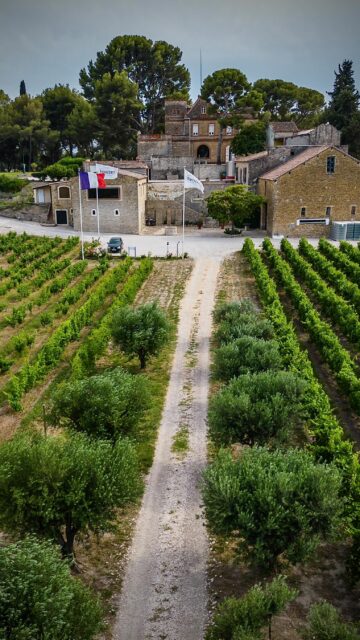 A conversation with a French accent you won’t want to miss. 🇫🇷🍷
Our co-founder Laurent met Charles-Éric Boisseaux of Château Vannières @chateauvannieres to talk about the legacy, terroir, and soul of Bandol wines.
This is just a glimpse — watch the full interview now on our YouTube channel. 🎥
#hmercerimports #bandol #chateauvannieres #provencewine #frenchwine #familywinery #wineinterview #winestories #wineimporter #youtube