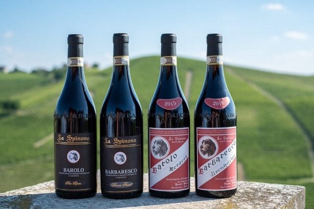 La Spinona: Tradition Meets Innovation
In the heart of Barbaresco, the Berutti family cultivates 24 hectares of vines across four historic farmsteads. From Nebbiolo, Barbera, Dolcetto, to Chardonnay, each vineyard expresses the richness of Piedmont’s terroir. Alongside the vines, the family raises Fassona cattle, embodying a sustainable approach where tradition and innovation walk hand in hand. Today, fifth-generation winemaker Pietropaolo and his father Gualtiero continue this legacy, blending deep respect for the land with a forward-looking vision.
✨ Discover La Spinona’s wines in our portfolio: ask us about them at our next tasting or find them on our website.
@la_spinona 
#laspinona #barbaresco #barolo #piedmontwines #italianwine #familywinery #traditionandinnovation #hmercerimports