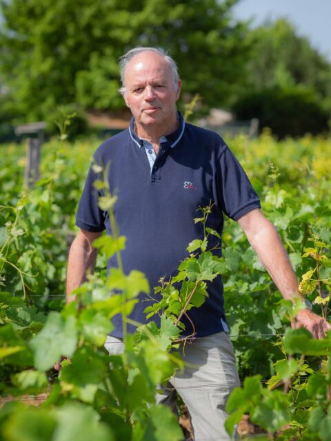 Not every thoughtful grower follows the same path.

At Domaine Remoriquet in Nuits-Saint-Georges, winemaker Gilles Remoriquet made a deliberate choice: not to pursue the organic AB certification. His reasoning is simple: organic treatments often rely heavily on copper, which can gradually deplete soils and affect groundwater.

Instead, the domaine works under HVE (Haute Valeur Environnementale) and Terra Vitis certifications, focusing on responsible, balanced vineyard practices while protecting the long-term health of the land.

In the cellar, Gilles approaches winemaking with the same philosophy of precision and restraint. Long macerations allow the wines to develop depth without forcing extraction, while micro-oxygenation helps stabilize the bond between tannins and anthocyanins, preserving both structure and color.

The reds then age for about 12 months in lightly toasted oak barrels, followed by several additional months in tank. If needed, tiny doses of oxygen are introduced to prevent reduction and ensure the wines remain open, balanced, and ready to express themselves once bottled.

A clear vision: thoughtful farming, patient winemaking, and decisions guided by the health of the vineyard first.

@domaine.remoriquet 

#hmercerimports #domaineremoriquet #nuitsaintgeorges #burgundywine #winemaker 🍷