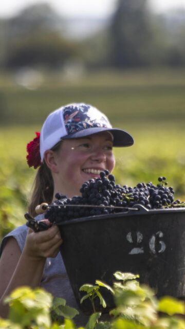 From Volnay to California 🍷

Sarah Glantenay of Domaine Georges Glantenay @georgesglantenay stopped by San Francisco to spend time with our team and share her vision of Burgundy winemaking.

#hmercerimports #bourgogne #volnay #domaineglantenay #burgundy