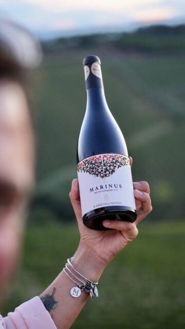 The Adriatic Sea is just a few miles away. The Sibillini Mountains rise in the distance. Between the two, harvest begins. 🍇

This is Il Conte Villa Prandone: grapes coming in from the vineyards, long days, stained hands, and another vintage taking shape.

A glimpse into the people and places behind the wines we’re excited to bring to California.

@il_conte_winery 

#hmercerimports #ilcontevillaprandone #marchewine #italianwine #harvest