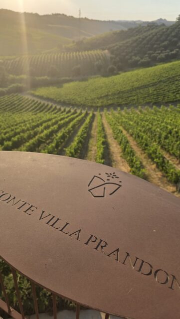 ๐ฎ๐น Squadra Italia begins!!
For this week, come along as H. Mercer and the Parker Wolf team hit the road across Italy. ๐
One day. One producer. One new chapter. Infinite stories. ๐ท
#hmercerimports #squadraitalia #italianwine #winejourney #winemaker