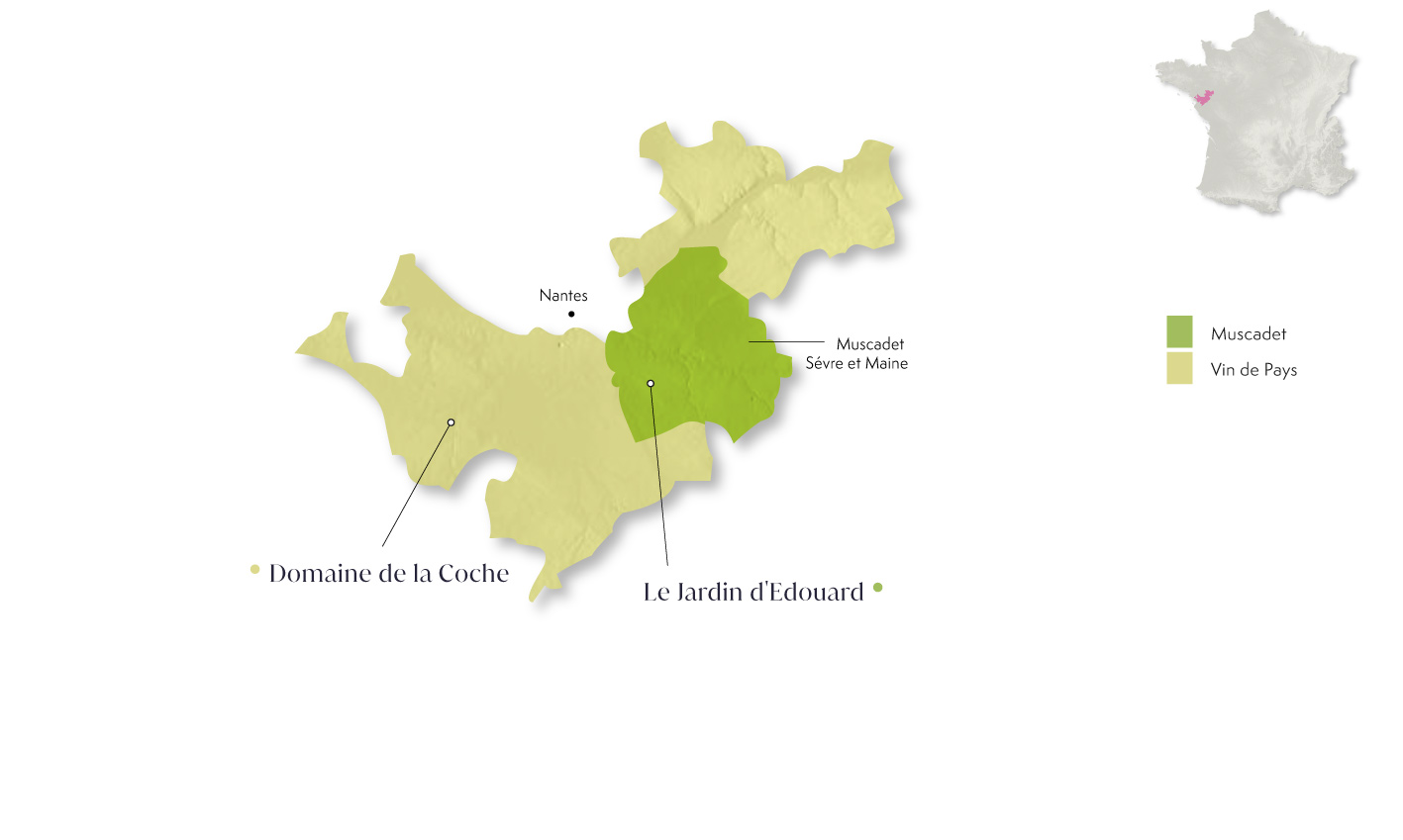 Muscadet and Vin de Pays